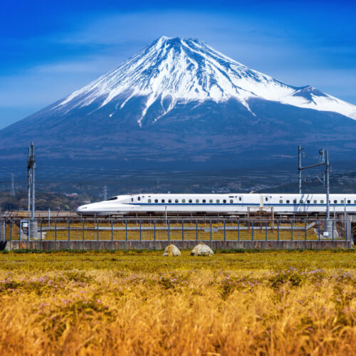 保護中: 13-Day Private Japan Journey | Golden Route, Mt. Fuji & Aizu